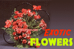 Beautiful Flowers Arrangement