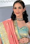 Pure Kancheevaram Silks - '08