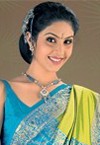 Mandira Silk Collection '08 I