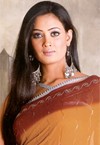 Designer Georgette Sarees - I